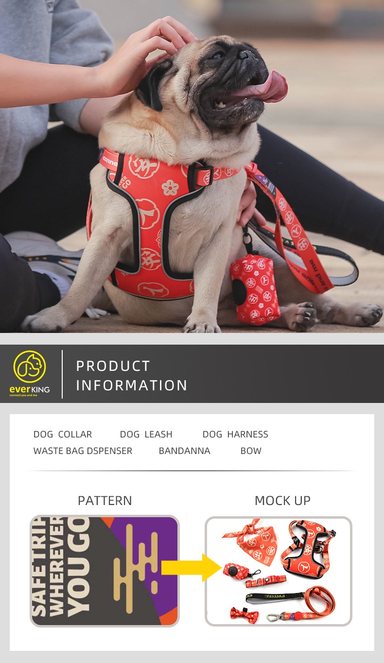 dog collar and leash set (2).jpg